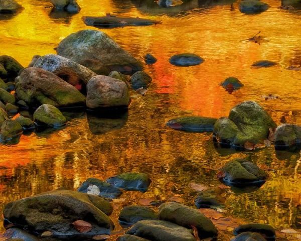 West Virginia, Davis Autumn reflections on pond